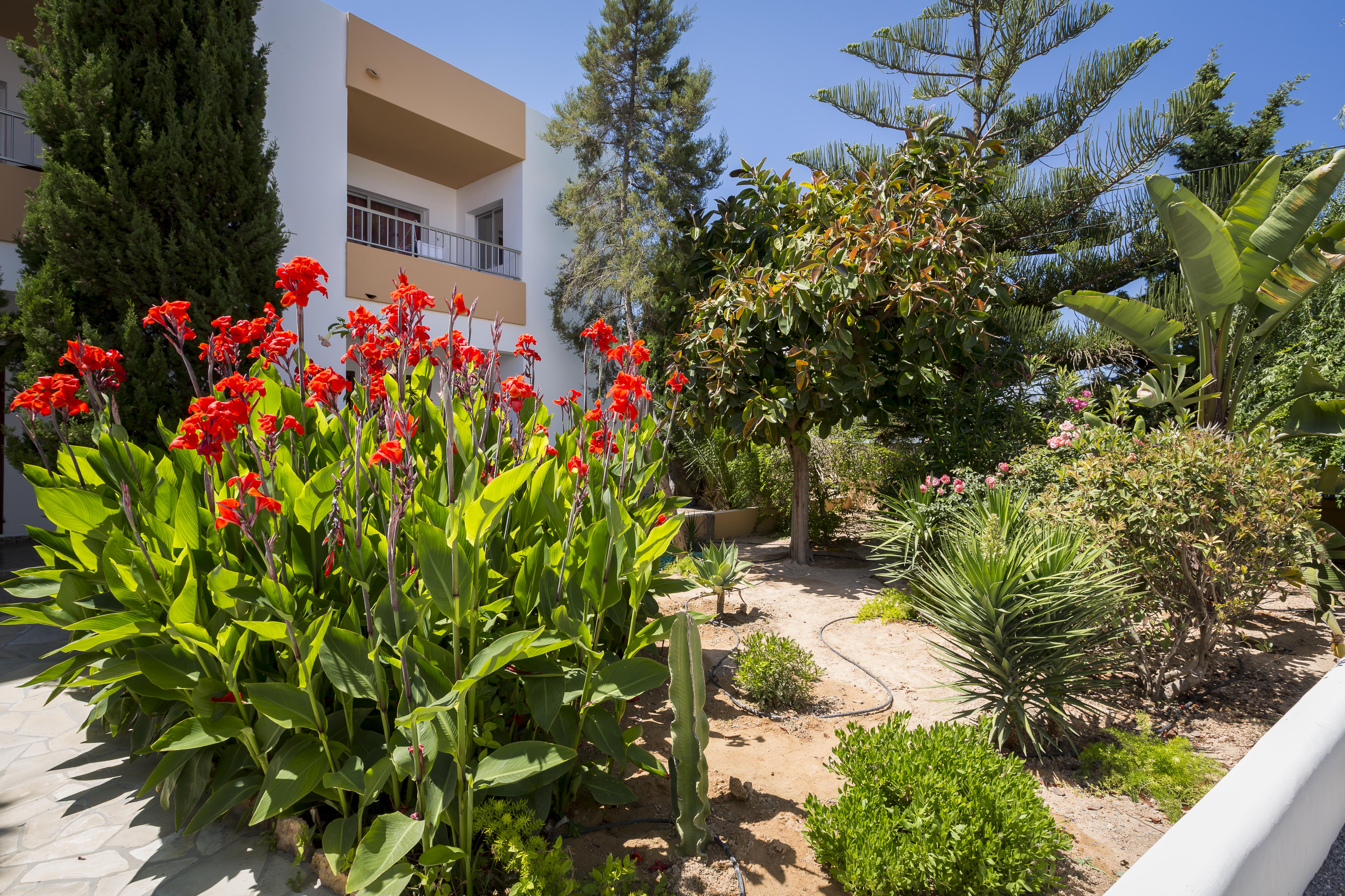 Apartamentos Zodiac San Antonio  Exterior photo